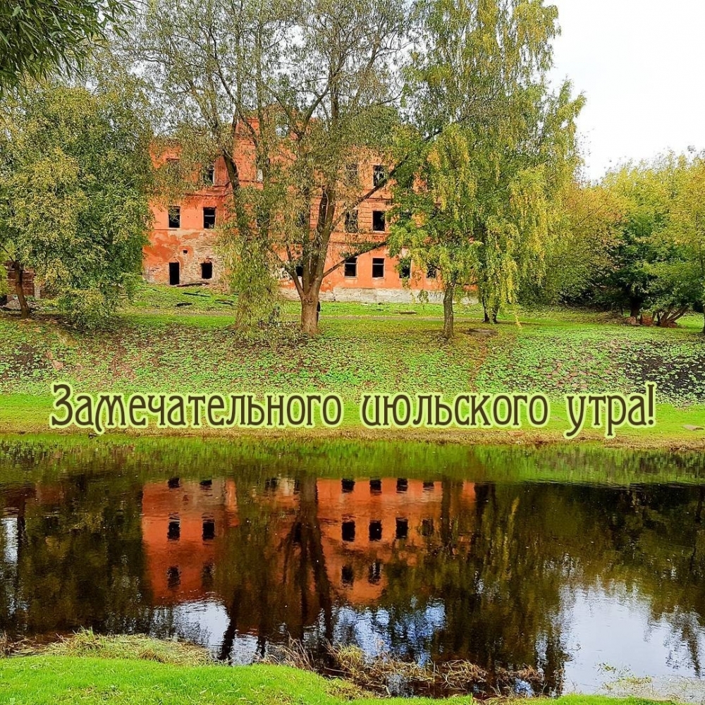Замечательного июльского утра!