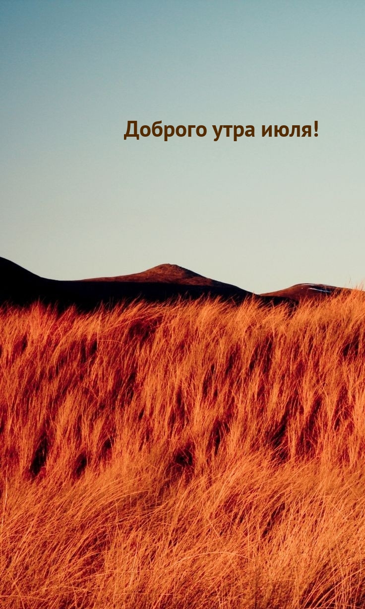 Доброго утра июля!