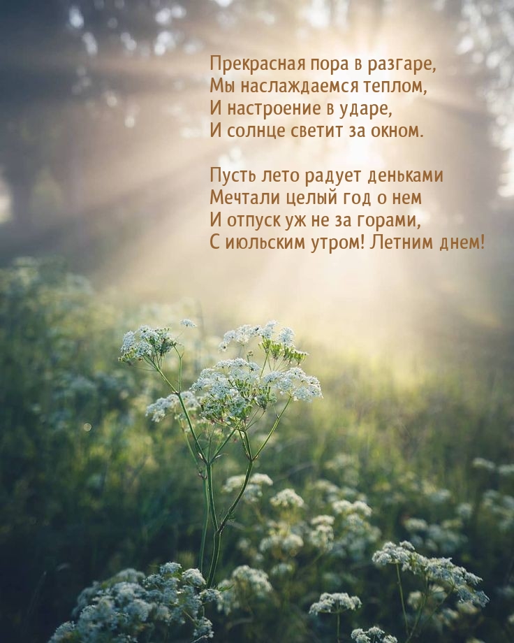 С июльским утром! Летним днем!