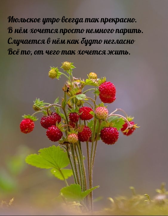 Июльское утро всегда так прекрасно. В нём хочется просто немного парить.