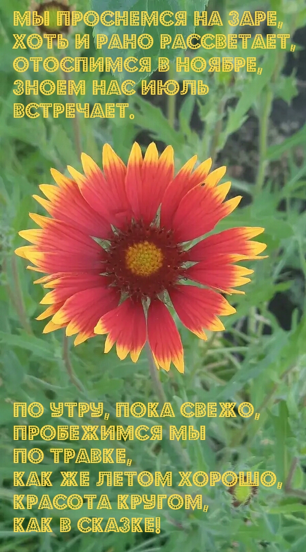 Отоспимся в ноябре, зноем нас июль встречает.
