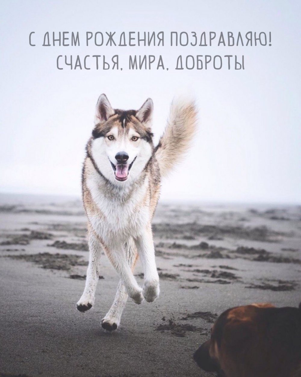 С днем рождения поздравляю! Счастья, мира, доброты