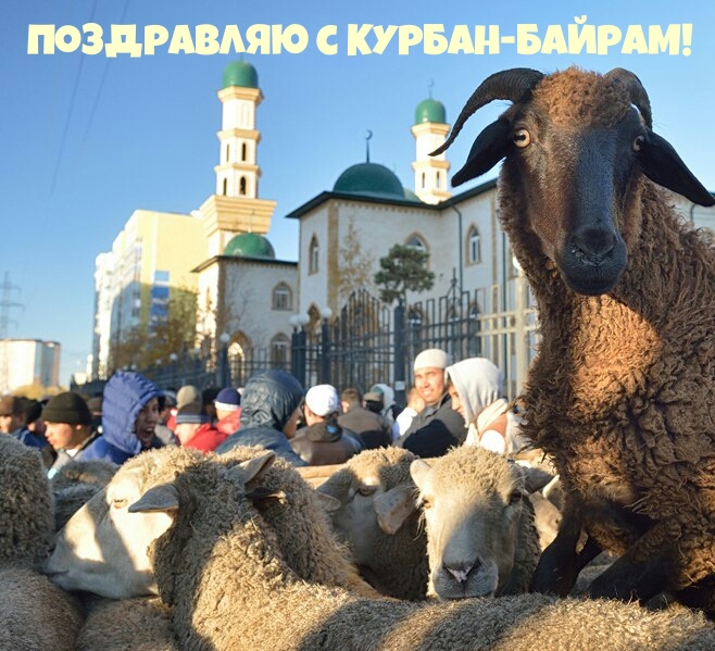 Поздравляю с Курбан-байрам!
