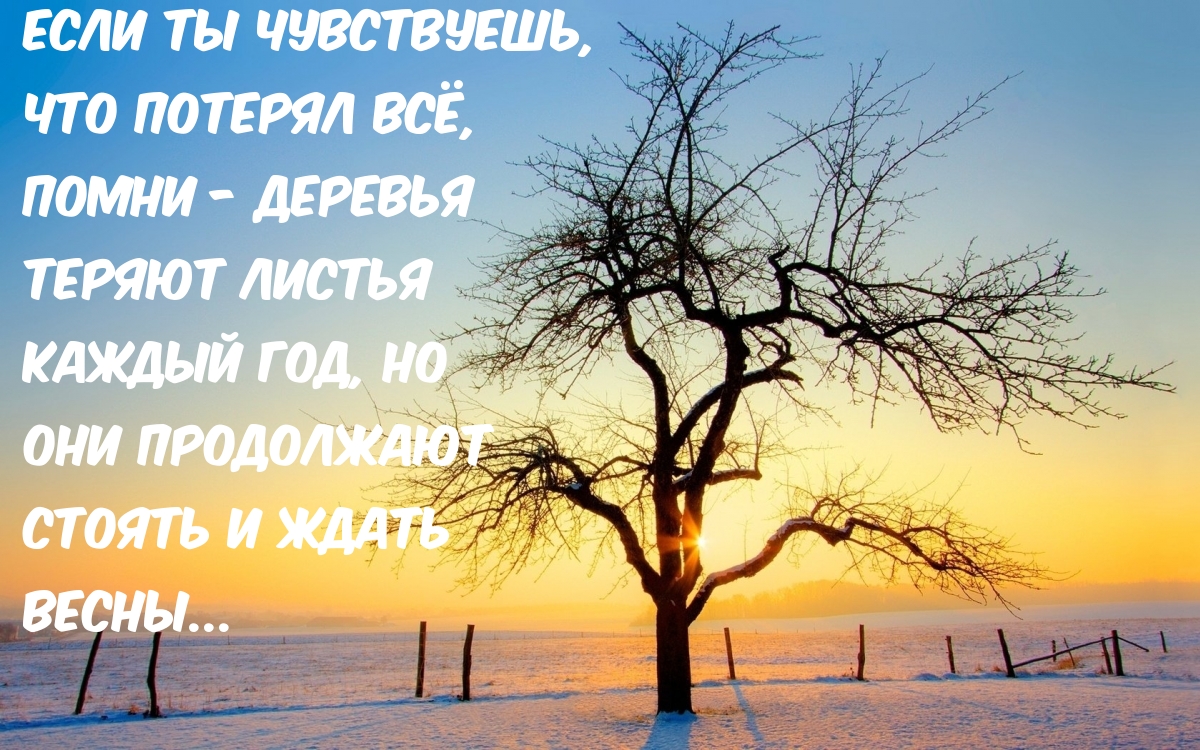 Если ты чувствуешь, что потерял всё, помни — деревья теряют листья