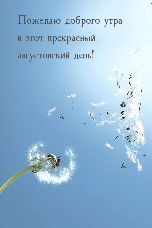 Пожелаю доброго утра в этот прекрасный августовский день!