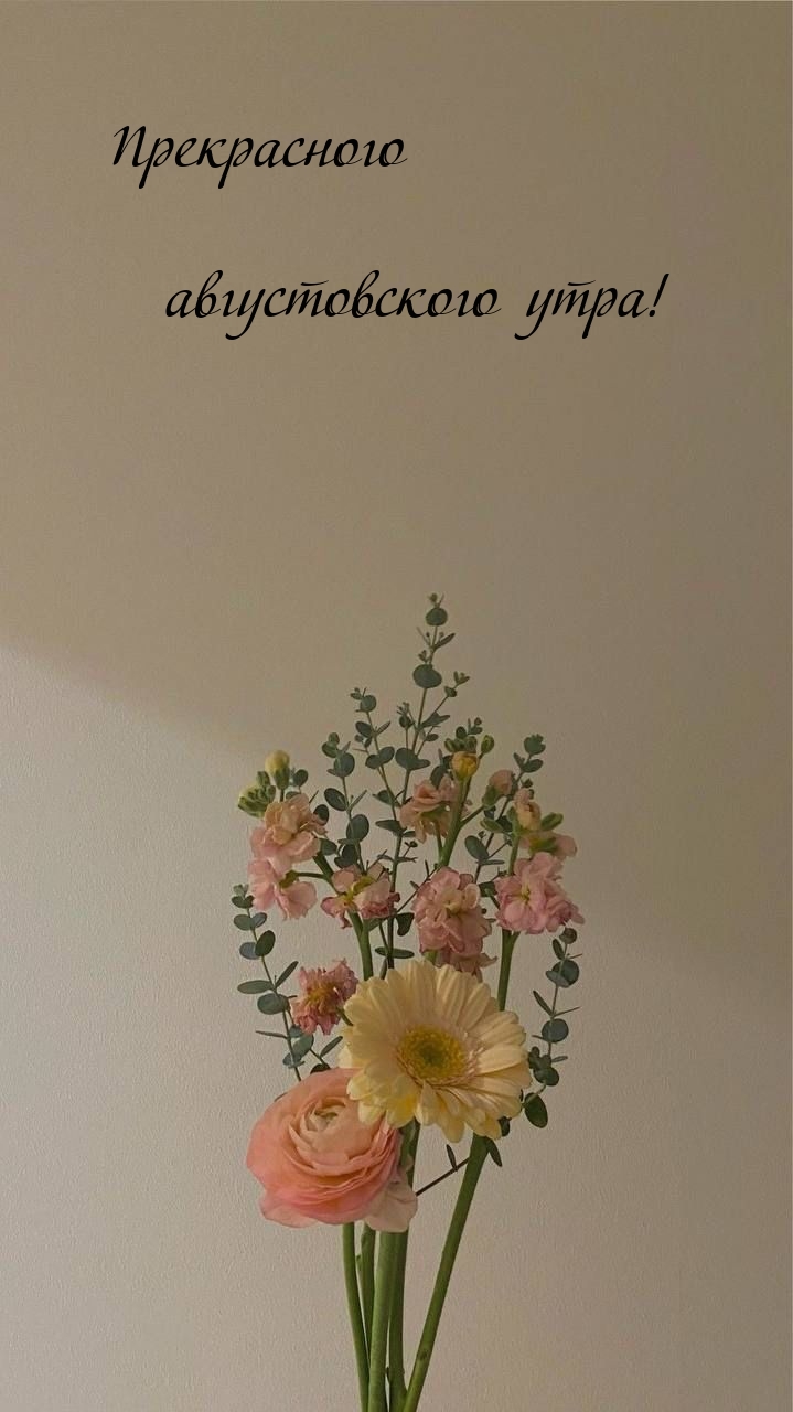 Прекрасного августовского утра!