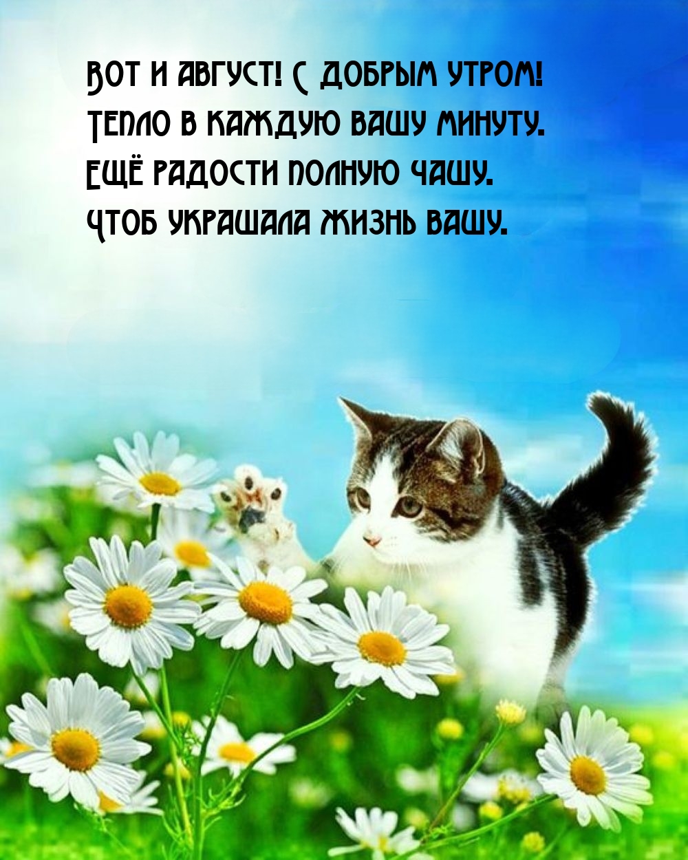 Вот и август! С добрым утром! Тепло в каждую вашу минуту.
