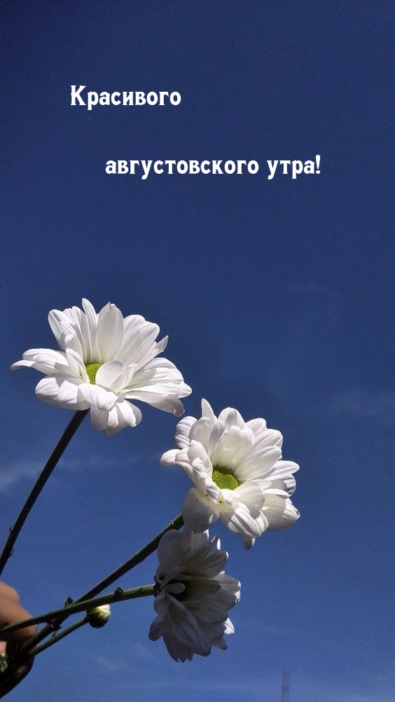 Красивого августовского утра!