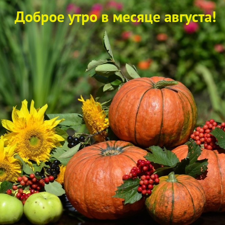 Доброе утро в месяце августа!
