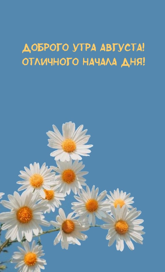 Доброго утра августа! Отличного начала дня!
