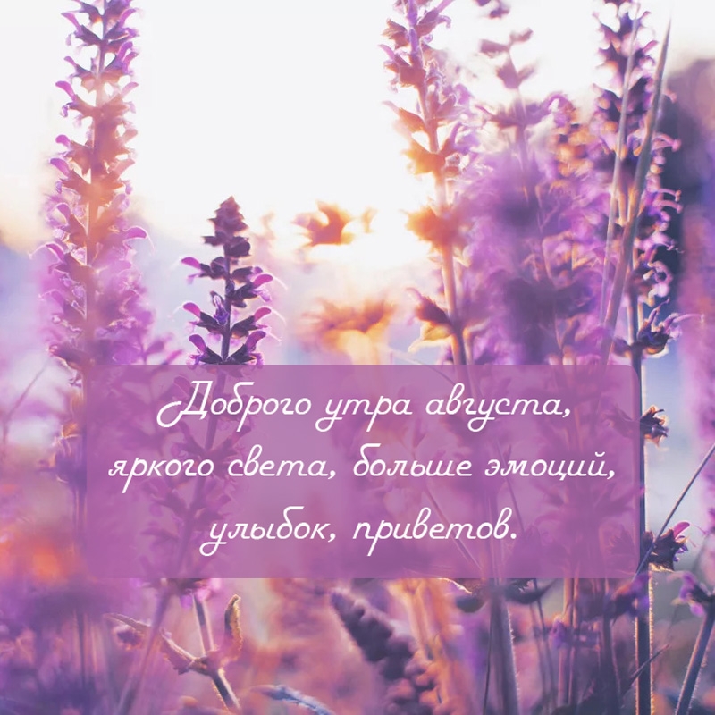 Доброго утра августа, яркого света, больше эмоций
