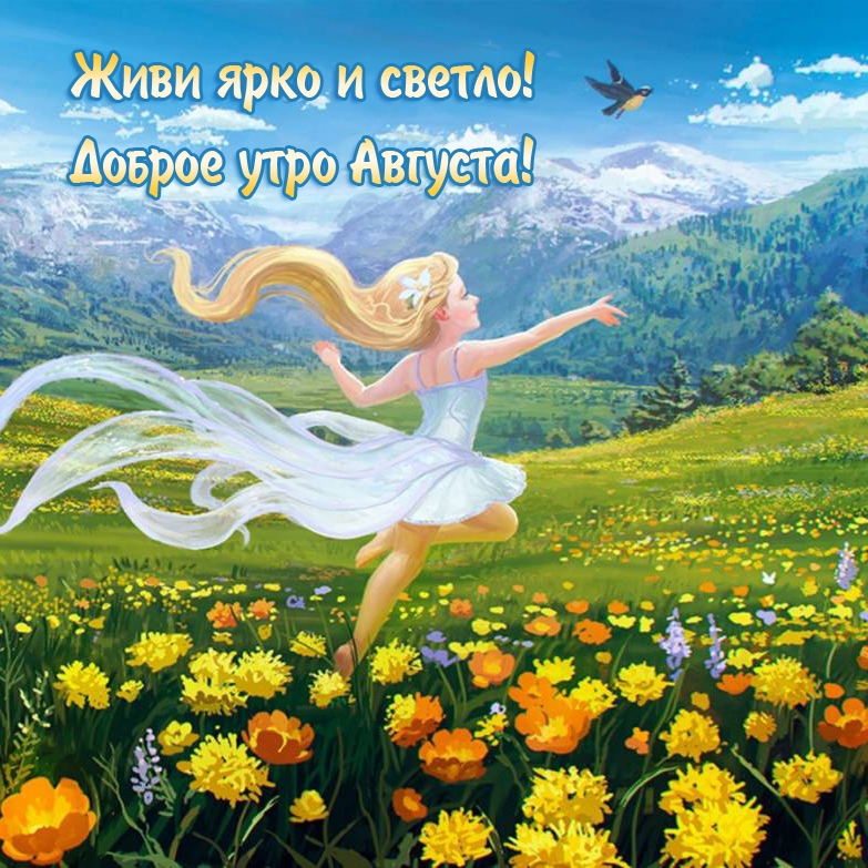 Живи ярко и светло! Доброе утро Августа!