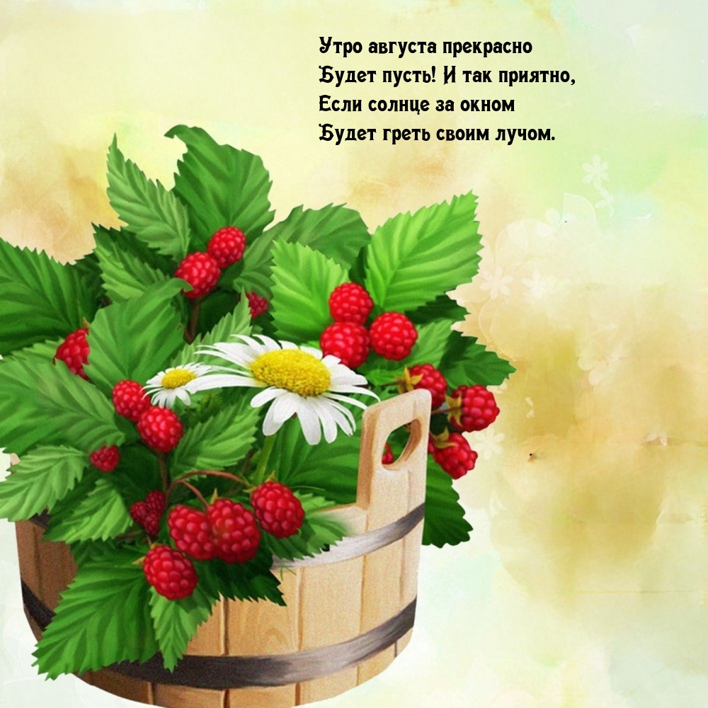 Утро августа прекрасно будет пусть!