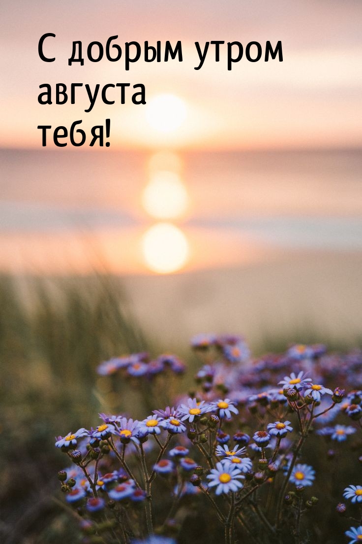 С добрым утром августа тебя!