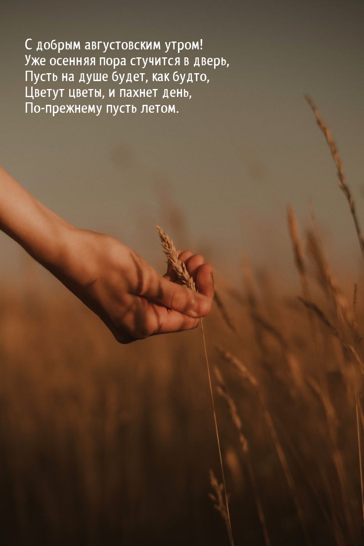 С добрым августовским утром! Уже осенняя пора стучится в дверь