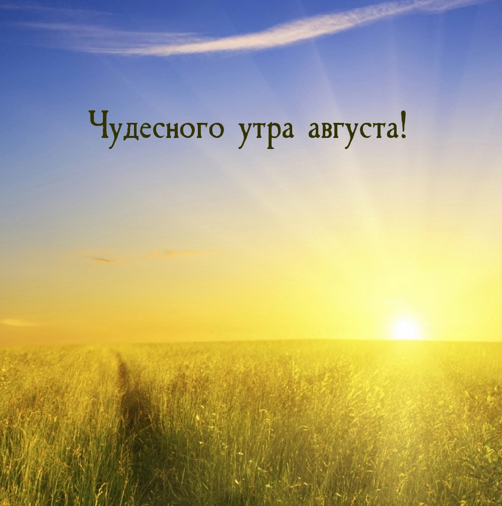 Чудесного утра августа!
