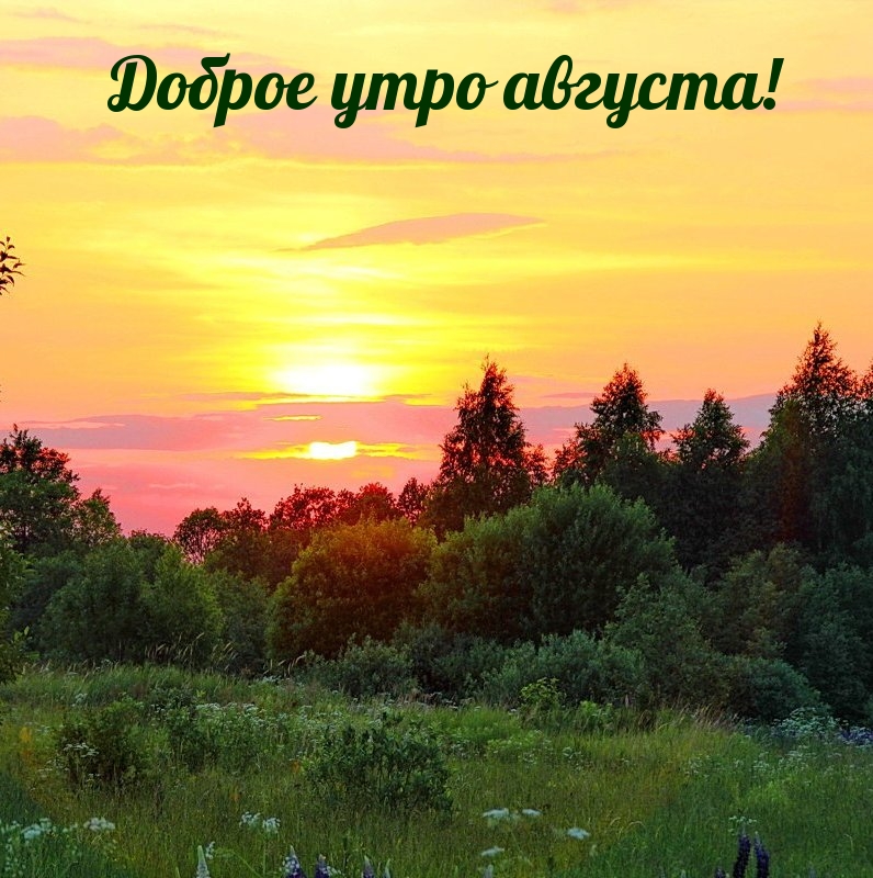 Доброе утро августа!