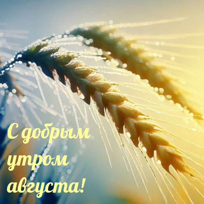 С добрым утром августа!