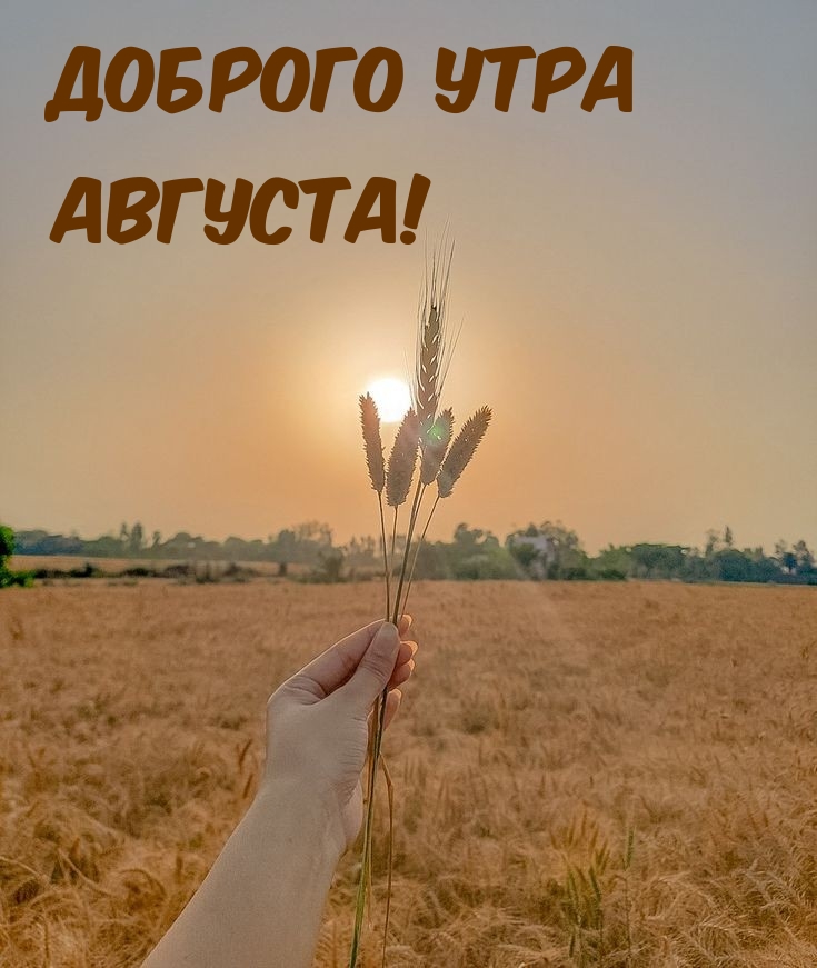 Доброго утра августа!