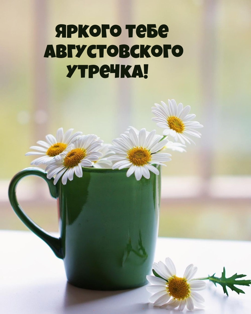 Яркого тебе Августовского Утречка!