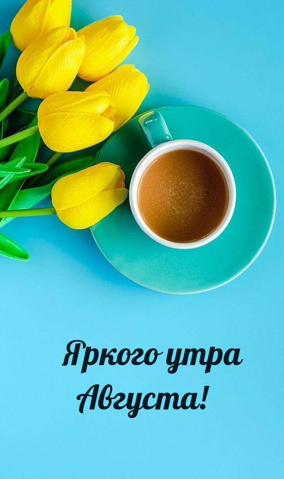 Яркого утра Августа!