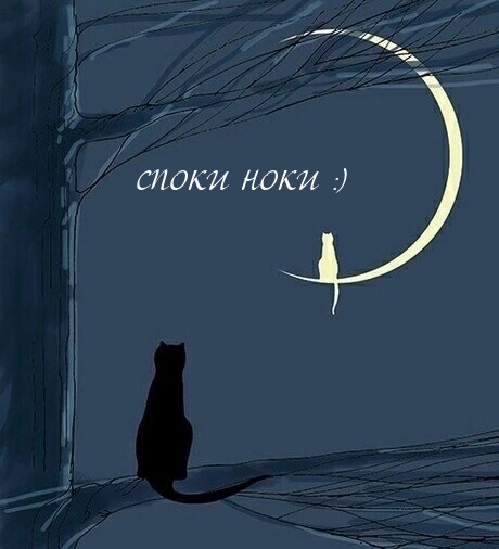 Картинки с надписями.  Споки ноки :).