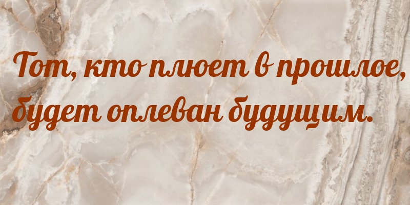 Тот, кто плюет в прошлое, будет оплеван будущим.