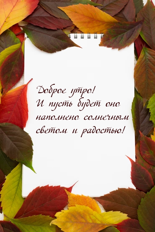 Доброе утро! И пусть будет оно наполнено солнечным светом