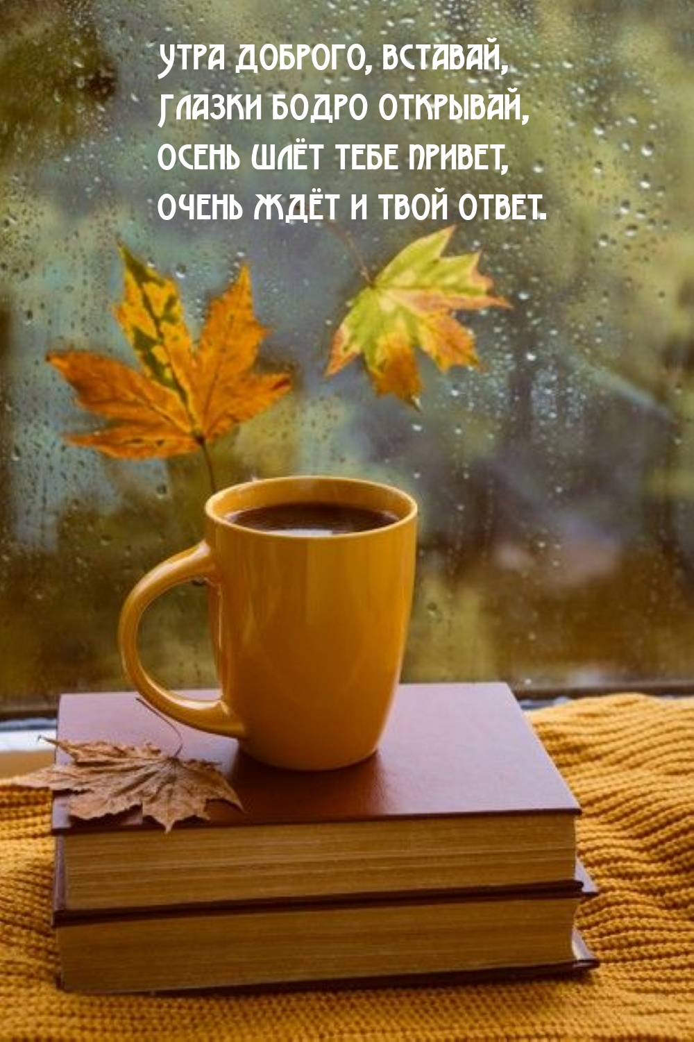 Утра доброго, вставай, глазки бодро открывай