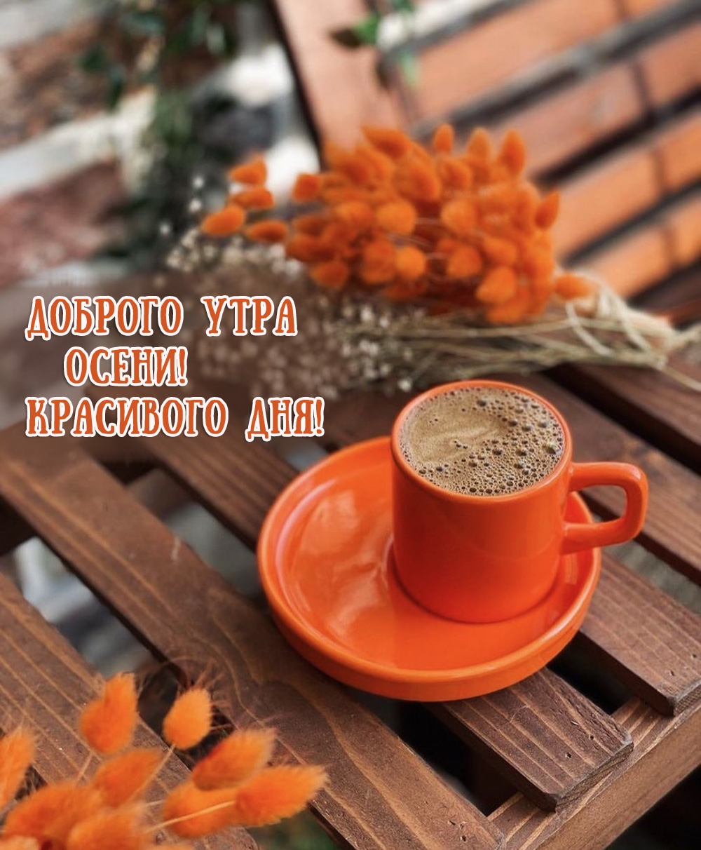Доброго утра осени! Красивого дня!
