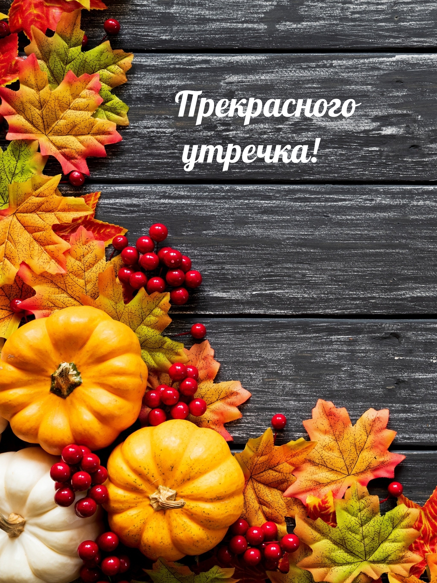 Прекрасного утречка!