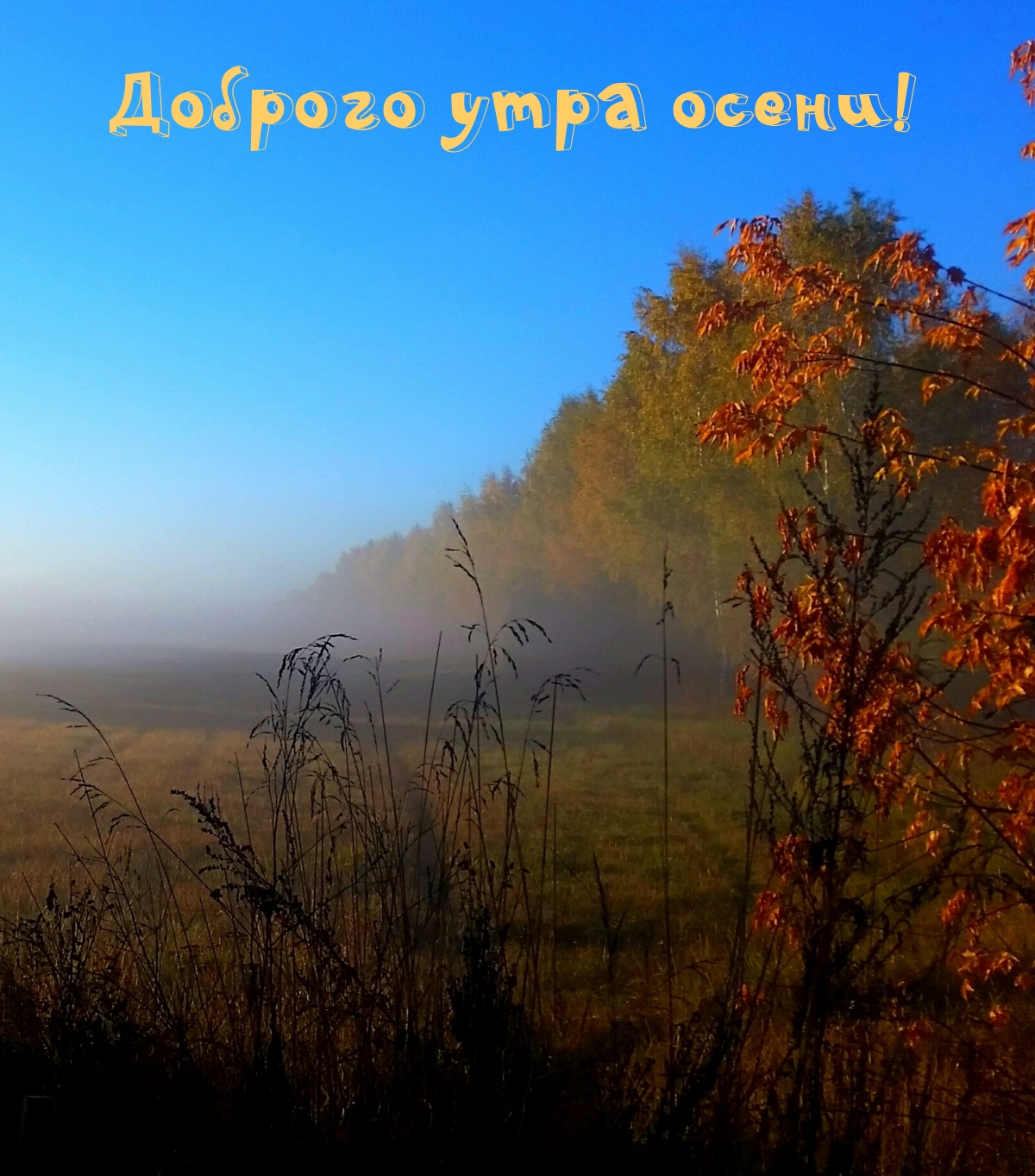 Доброго утра осени!