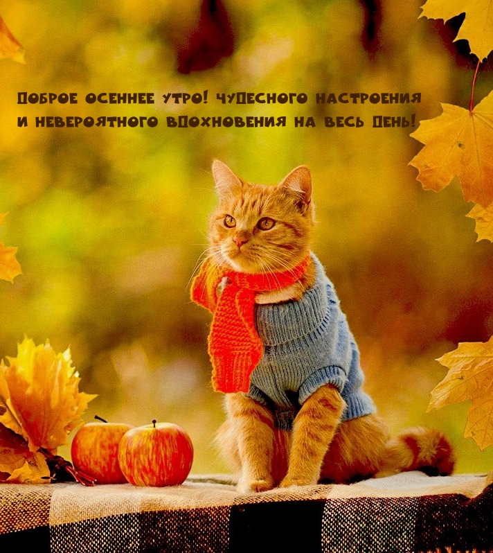 Доброе осеннее утро! Чудесного настроения