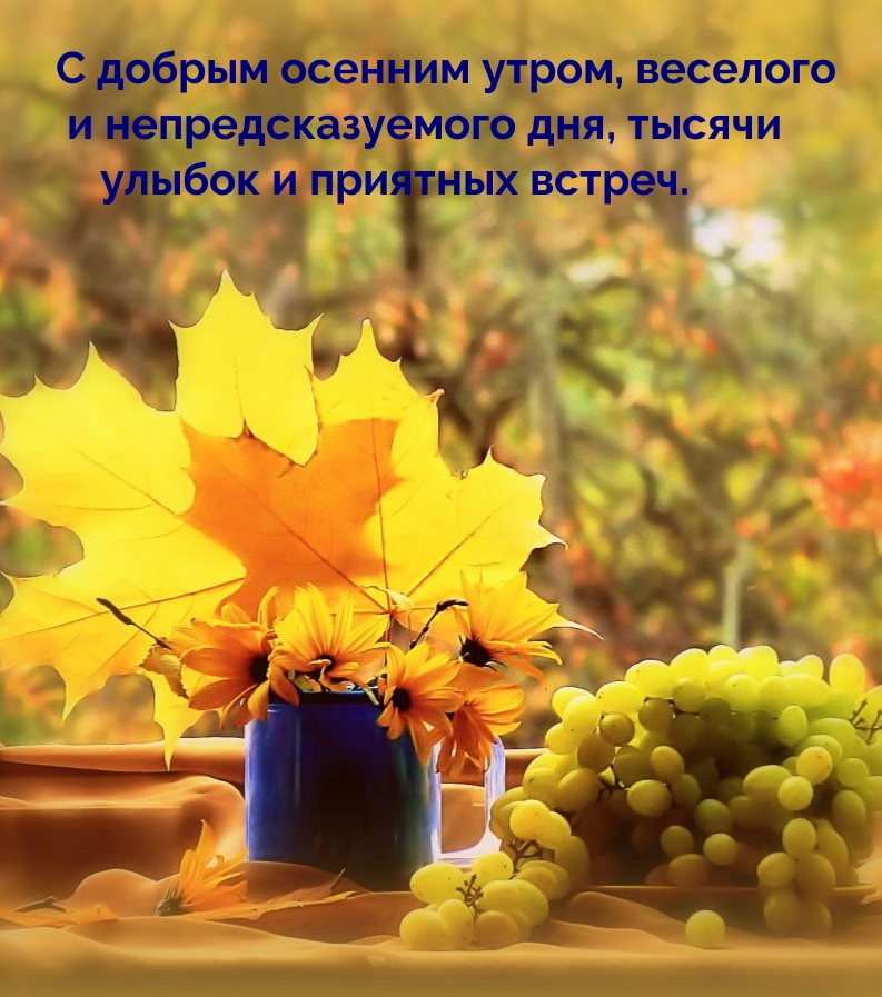 С добрым осенним утром, веселого и непредсказуемого дня