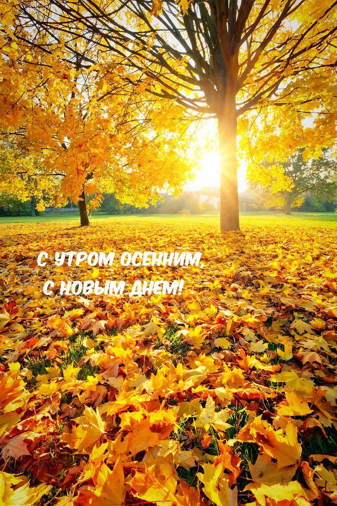 С утром осенним, с новым днем!