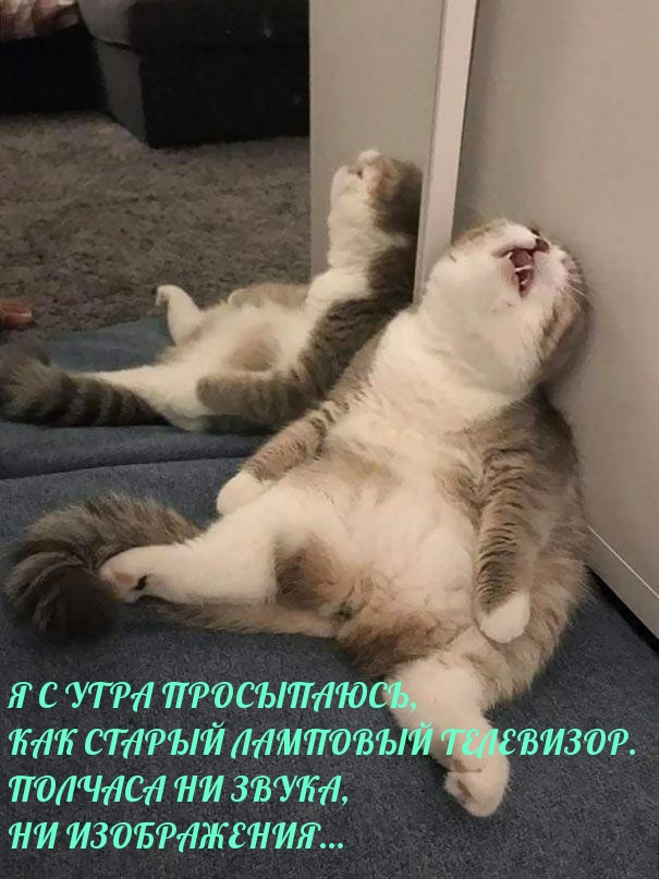 Я с утра просыпаюсь, как старый ламповый телевизор.