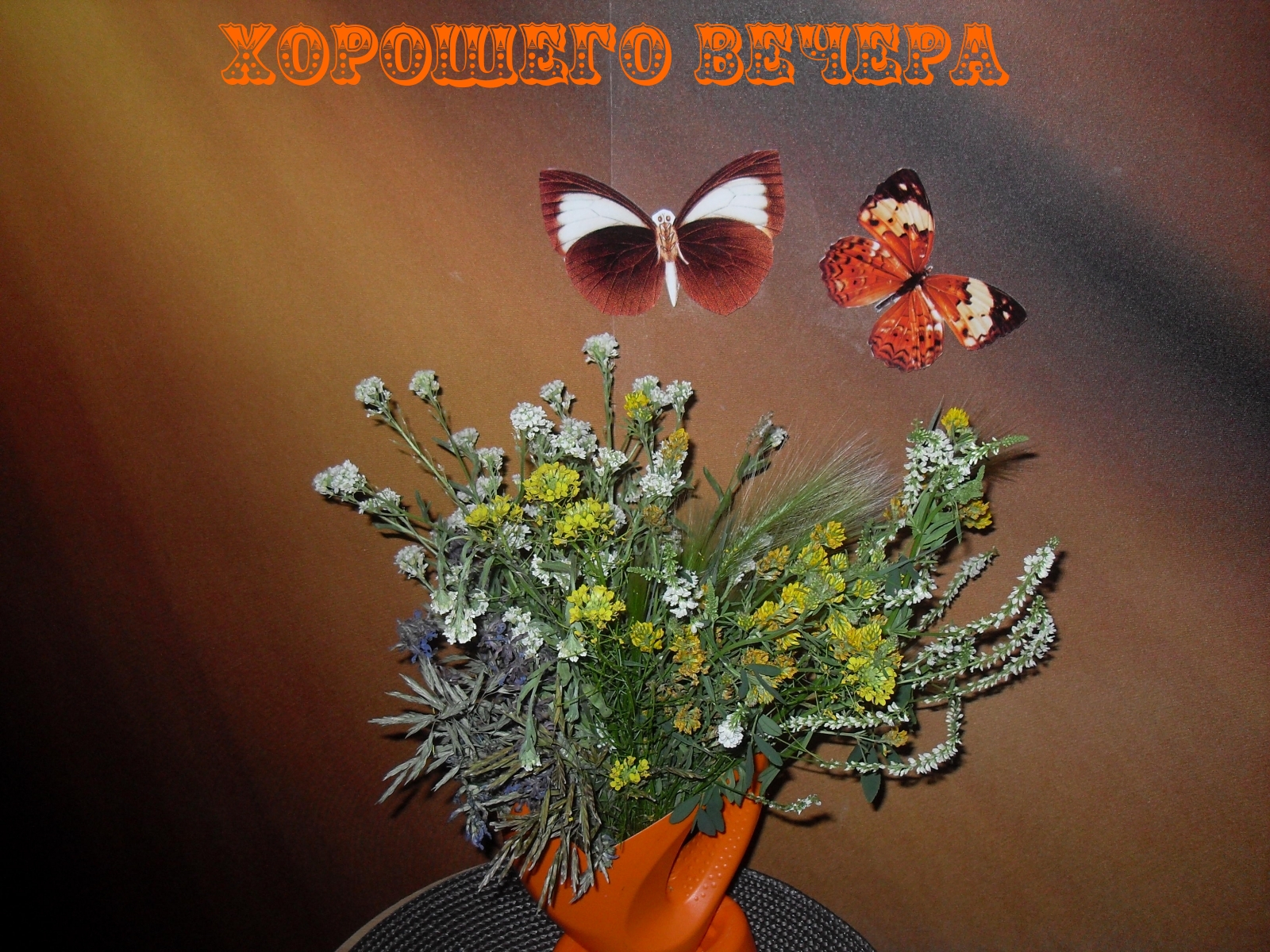 Хорошего вечера