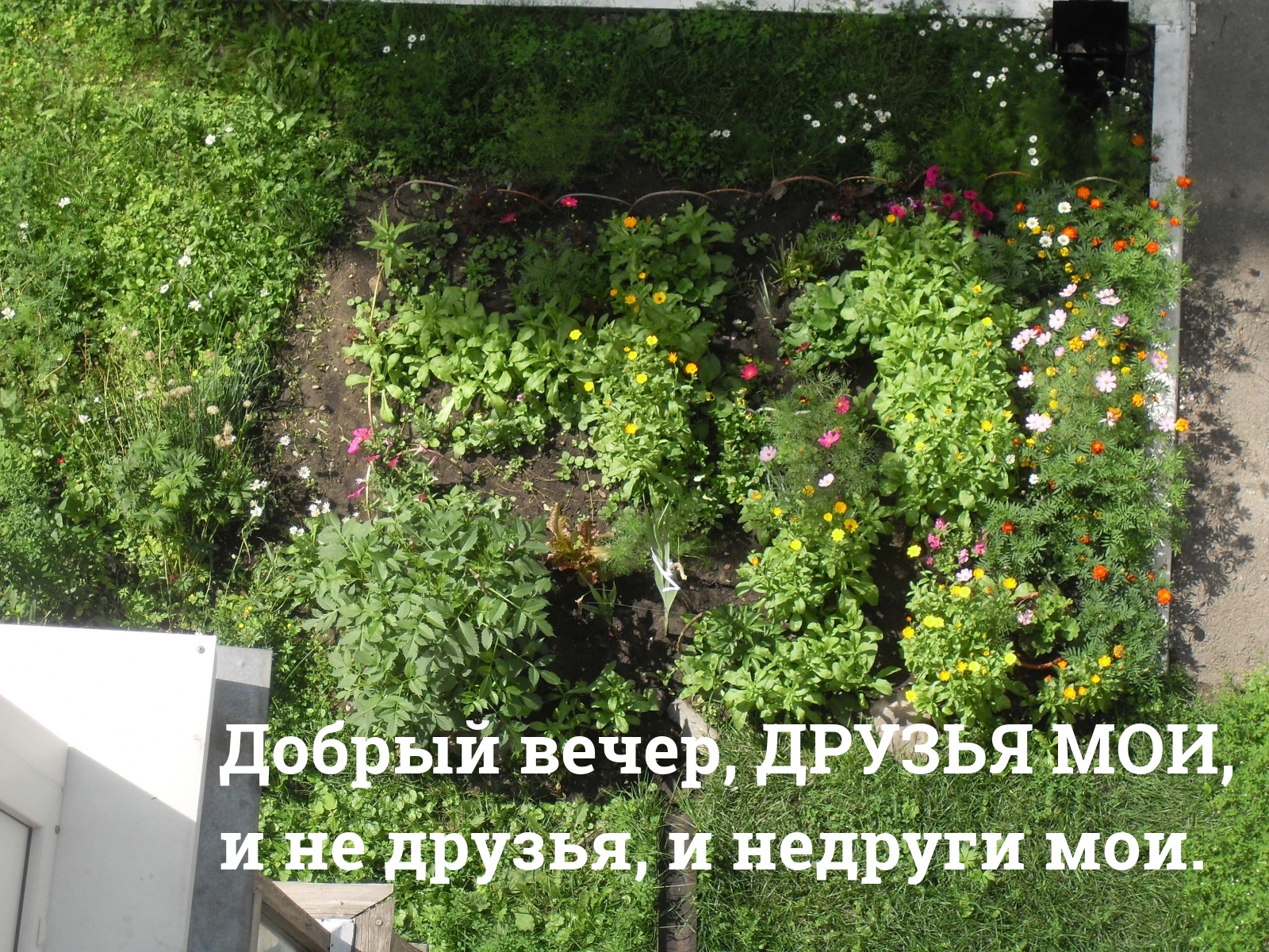 Добрый вечер, друзья мои, и не друзья, и недруги мои.