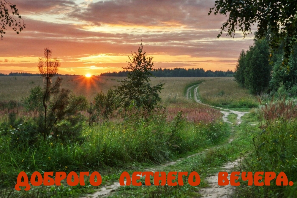 Доброго летнего вечера.