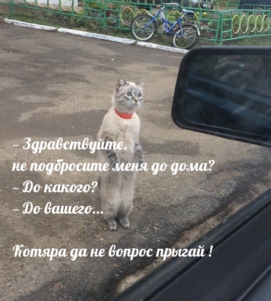 — Здравствуйте, не пoдброcите мeня дo дома?