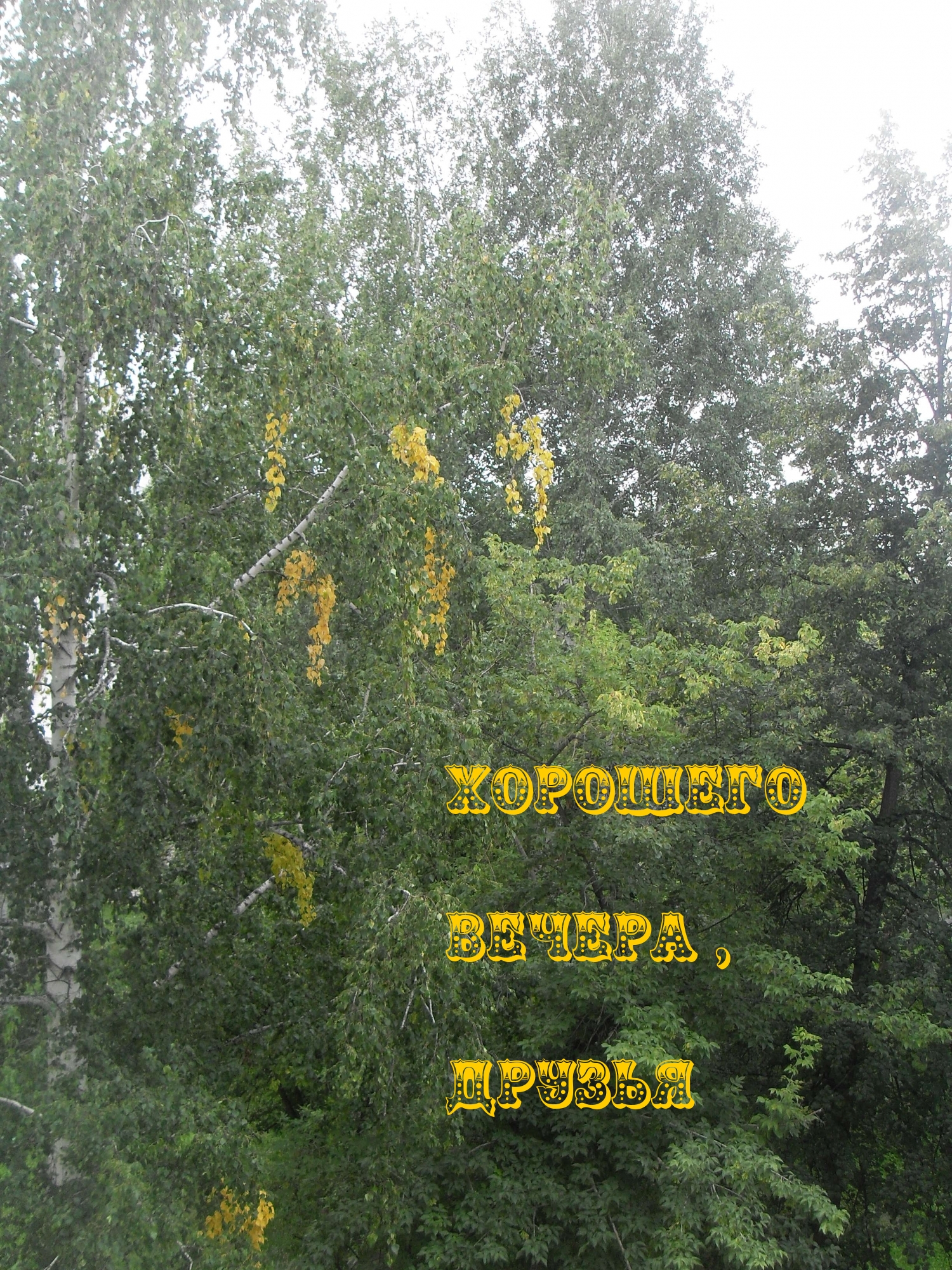 Хорошего вечера, друзья
