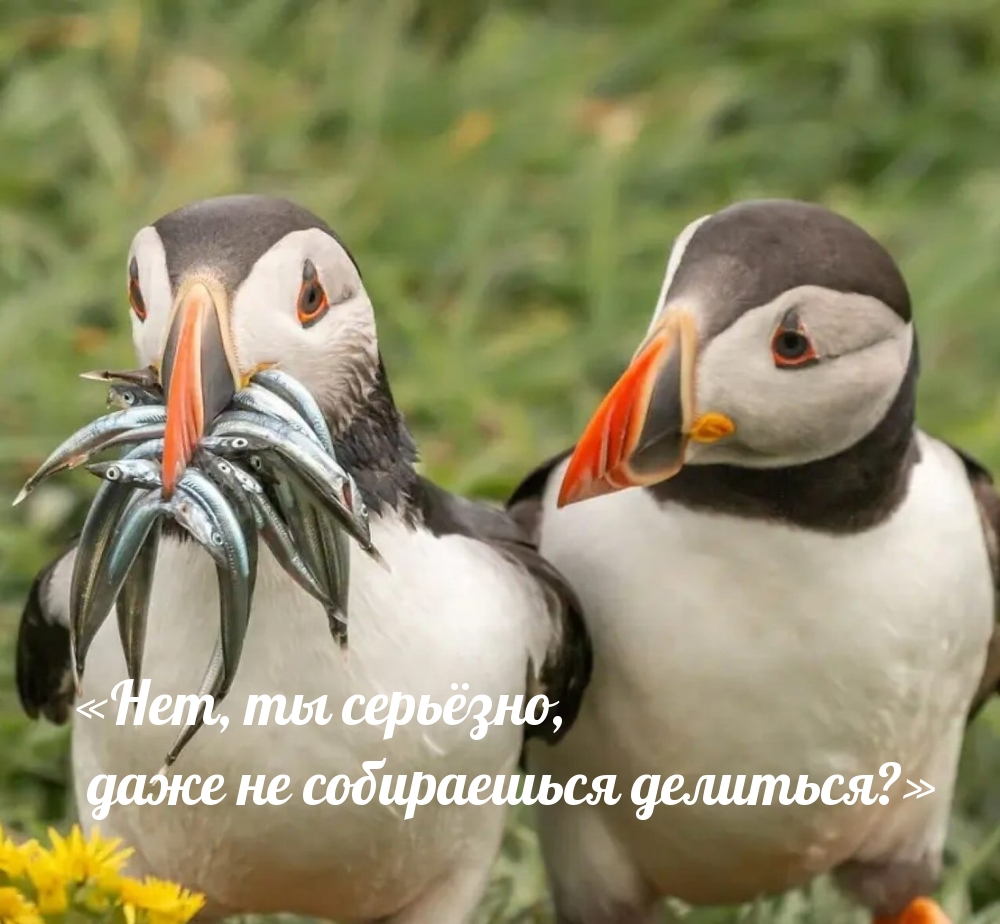 «Нет, ты серьёзно, даже не собираешься делиться?»