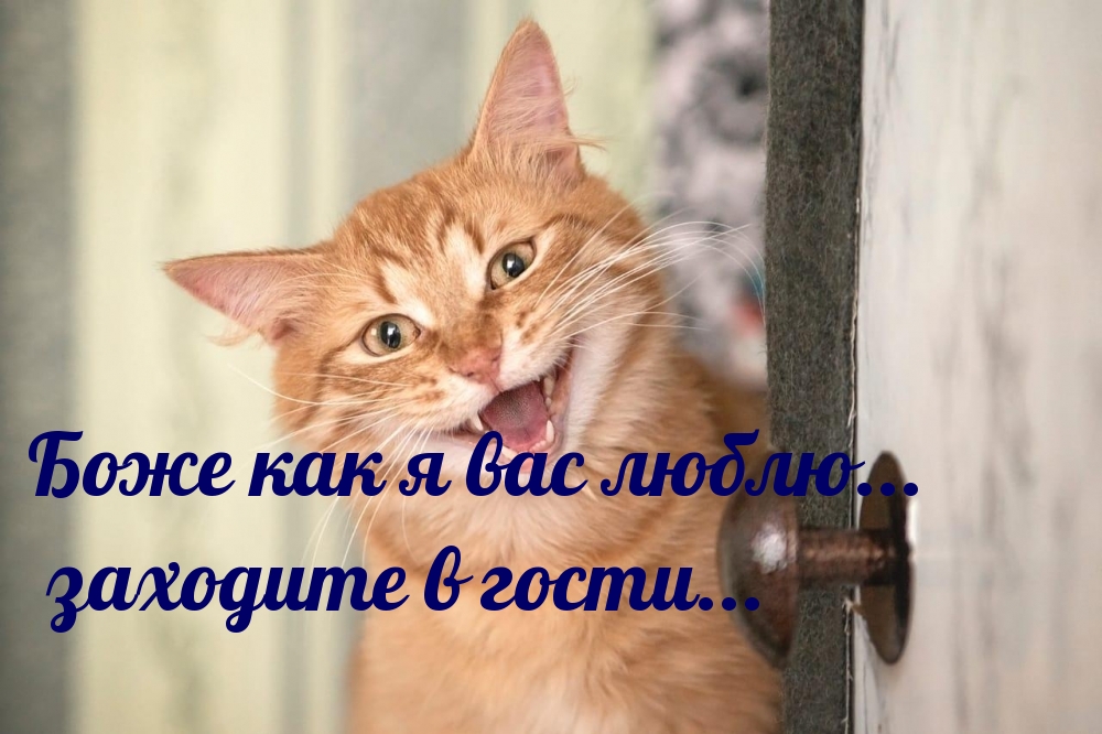 Боже как я вас люблю… заходите в гости…