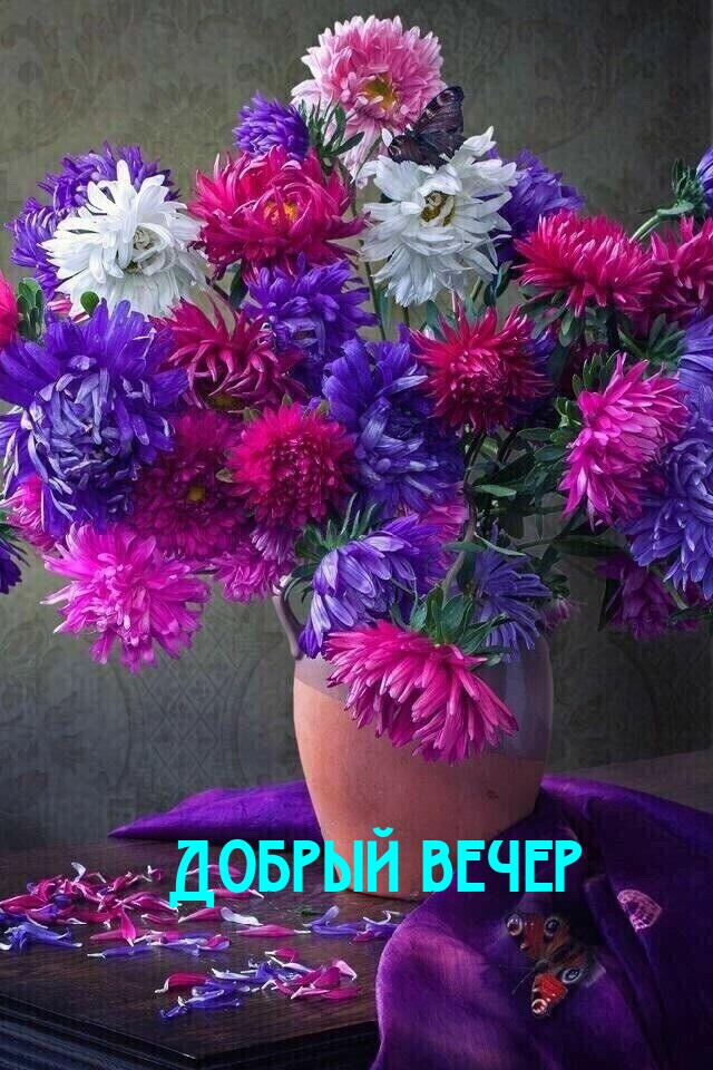 Добрый вечер
