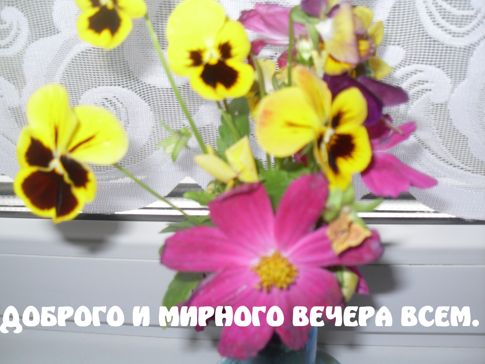 Доброго и мирного вечера всем.