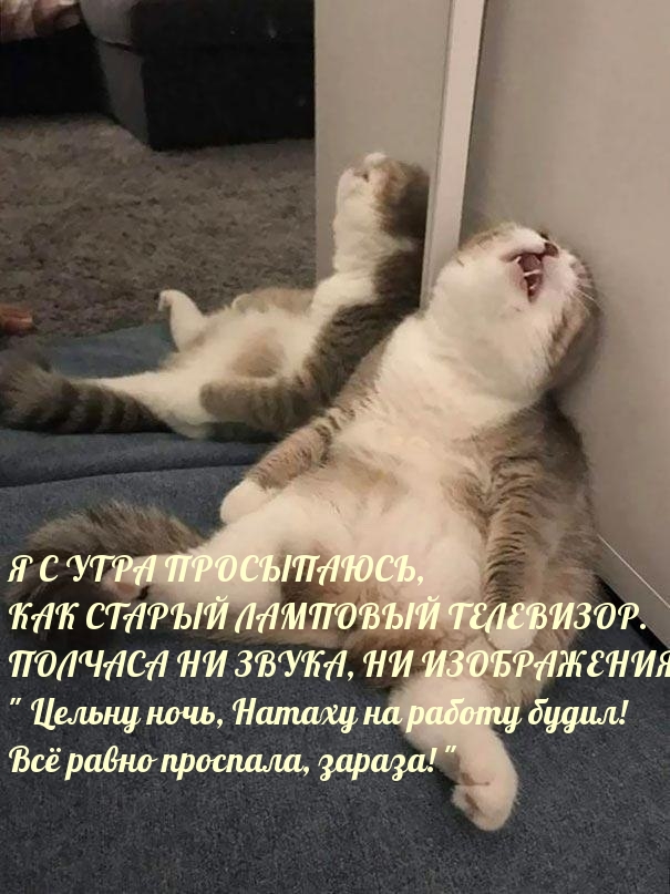 Я с утра просыпаюсь, как старый ламповый телевизор.