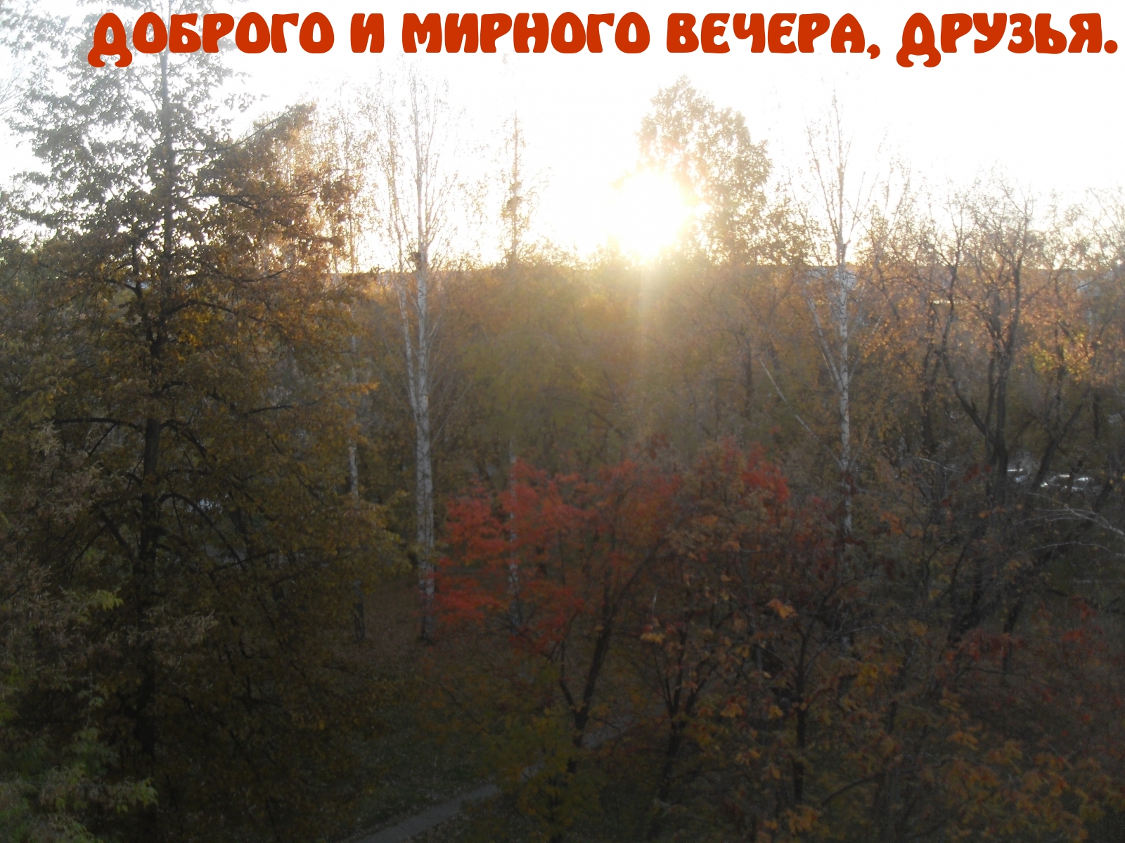 Доброго и мирного вечера, друзья.