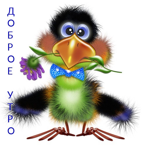 Доброе утро