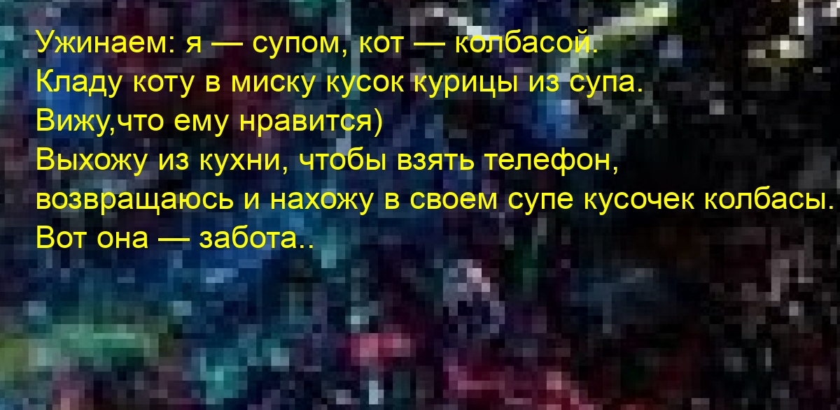 Ужинаем: я — супом, кот — колбасой. Вот она — забота..