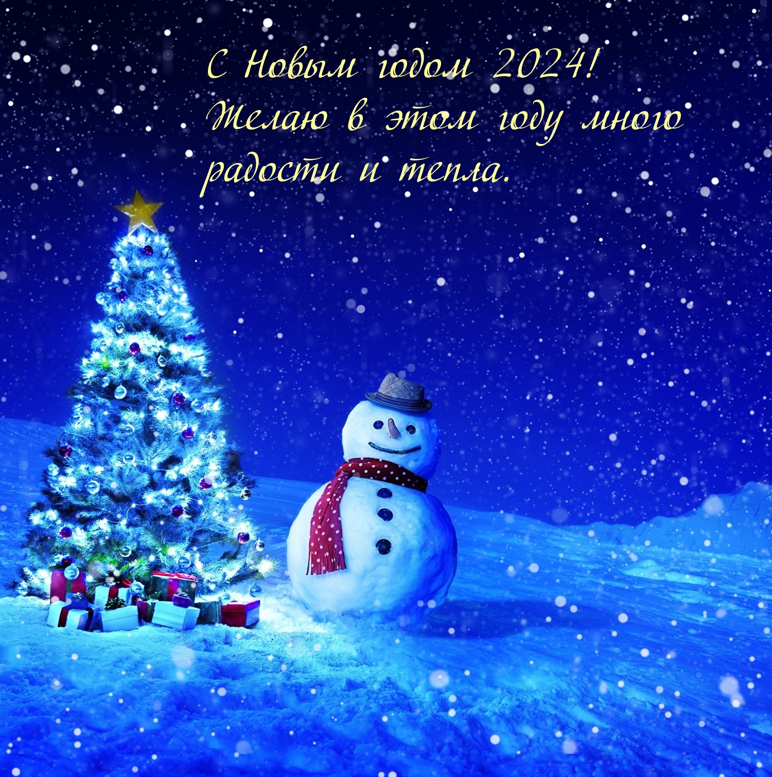 С Новым годом 2024! Желаю в этом году много радости и тепла.